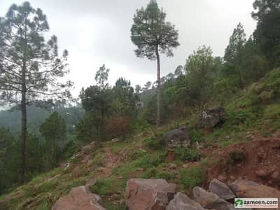 100 Kanal Land In Murree 100 Kanal Land In Murree