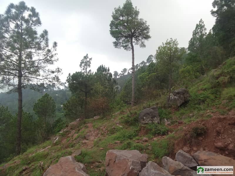 100 Kanal Land In Murree 100 Kanal Land In Murree