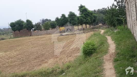 Fertilize Agriculture Land 59 Kanal Attached With Three Roads Sides
