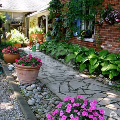 An Old House Very Hot Location Best Opportunity An Old House Very Hot Location Best Opportunity