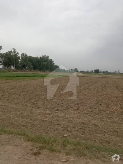 Farm House Land For Sale In Spring Meadows
