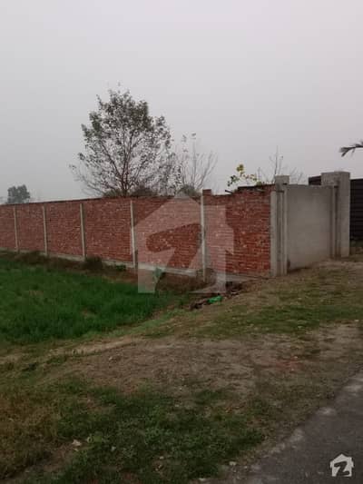 سپرنگ میڈوز بیدیاں روڈ لاہور میں 16 کنال زرعی زمین 3 کروڑ میں برائے فروخت۔