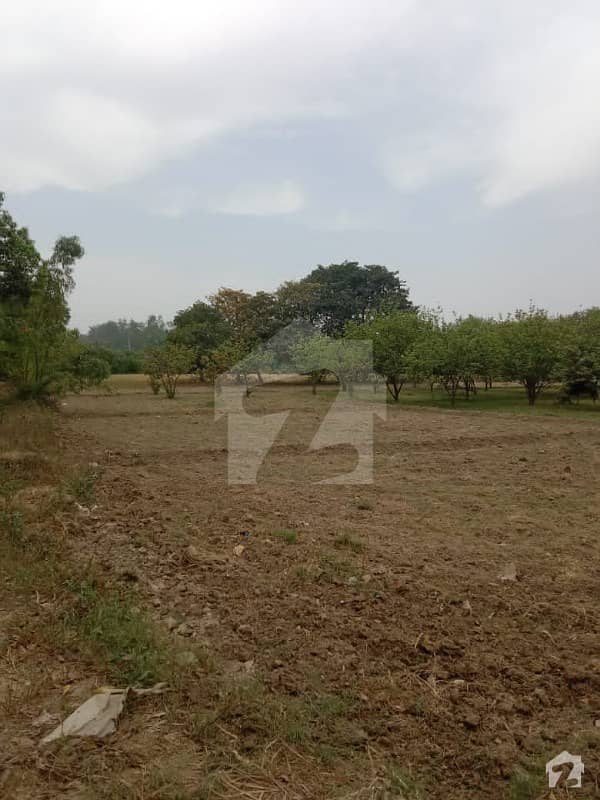 Farm House Land For Sale In Thethar Village