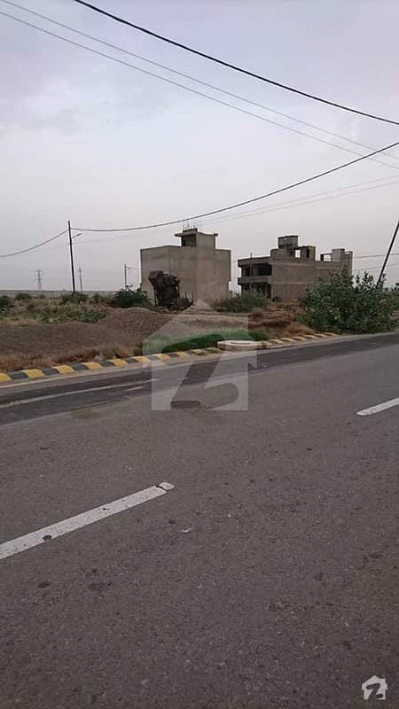 120 Yards Play Ground Facing Plot For Sale In Punjabi Phase 2 Sector 50A Scheme 33