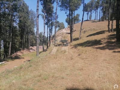 5 Marla Residential Plot Available For Sale In Nathia Gali