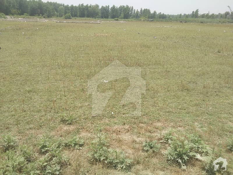 Hamza Property Plot Is Available For Sale