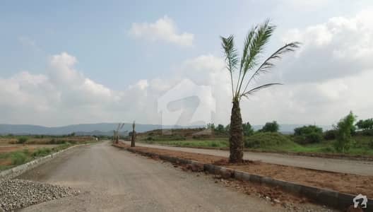 Main Business Avenue Commercial Plot Available For Sale
