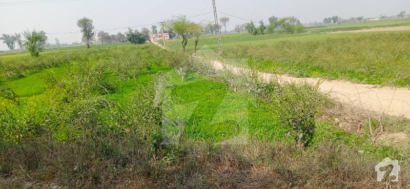 بیدیاں گرینز فارم ہاؤسز بیدیاں روڈ لاہور میں 8 کنال زرعی زمین 1.5 کروڑ میں برائے فروخت۔