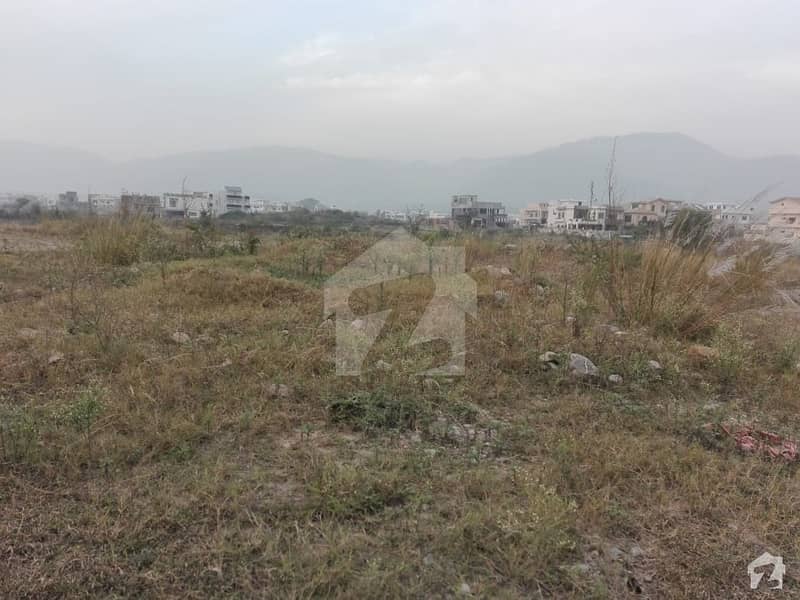 Residential Plot Of 272 Square Yards In D-12 For Sale