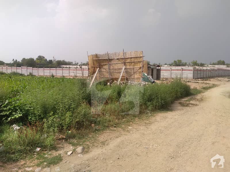 A Decent Farm House 40 Kanal Extra Land Orchard Scheme Is Available For Sale