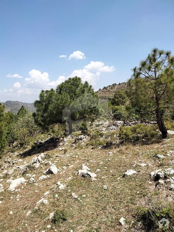 1000 Kanal Land Available For Sale Near Islammabad Just Away From Islammabad 5 To 6 Km Ideal Location Best Option For Investment