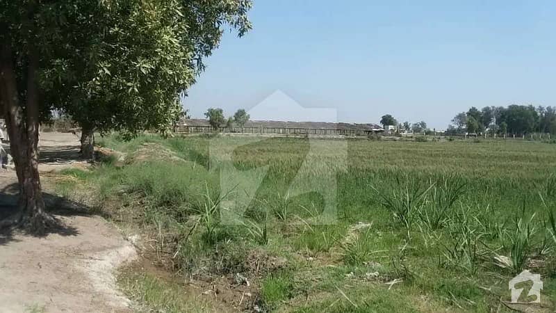 Agricultural Land For Sale Is Readily Available In Prime Location Of Nooriabad Industrial Area