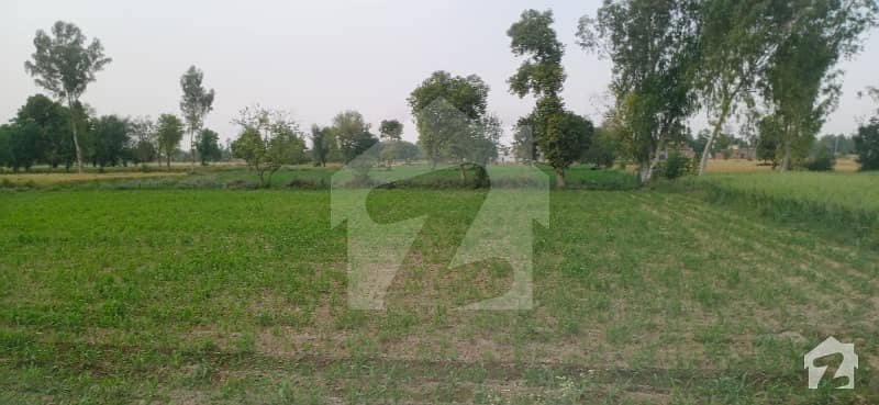 Investment  Opportunity Very Lowest Price 220 Feet Front  Near Ger Bajwa Fame House   Ideal  Land For Fame House Electricity
