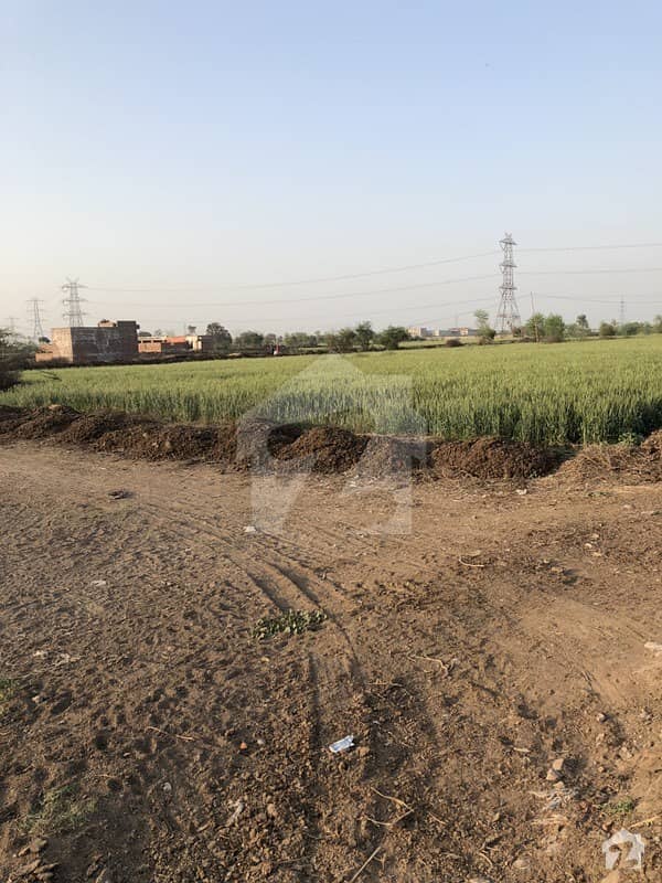 84 Marla Plot For Sale In Ghona West  Faisalabad