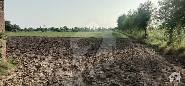 234000  Square Feet Farm House In Ferozepur Road Is Available
