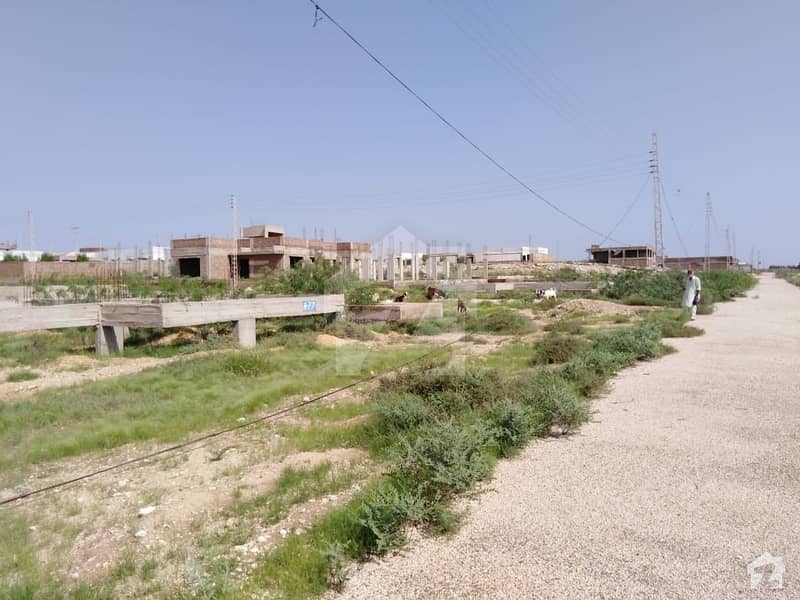 240 Square yard plot for sale available at Qasim Town qasimabad hyderabad