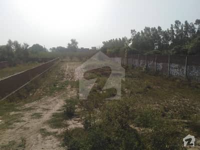 Best Options For Agricultural Land Is Available For Sale In Sharaqpur Sharif