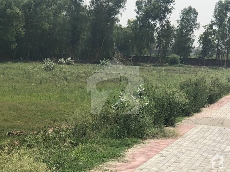 21 Kanal Land For Sale