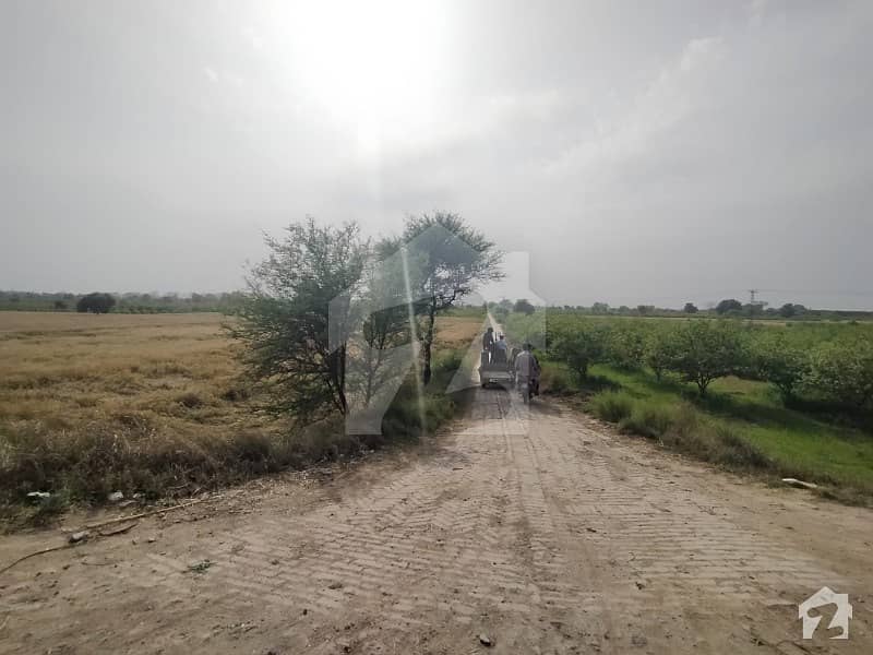 Lucrative Location 13 Acre Agricultural Land For Sale On Sharaqpur Road