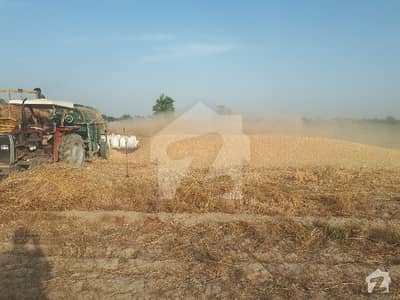 Get In Touch Now To Buy A Agricultural Land In Jhang