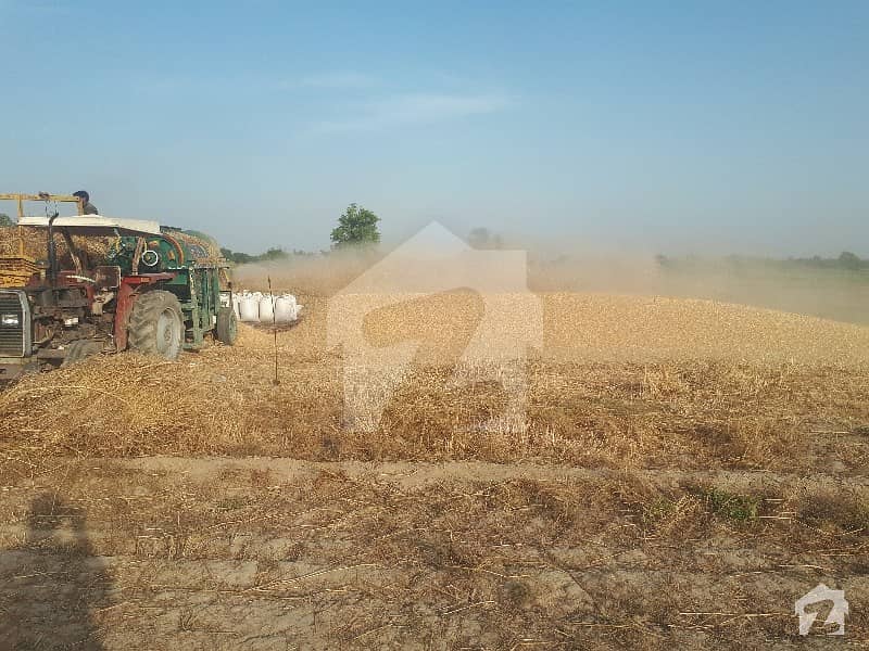 Get In Touch Now To Buy A Agricultural Land In Jhang