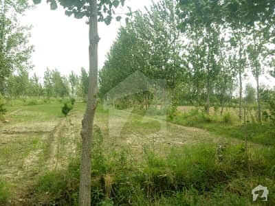 Agriculture Land For Sale