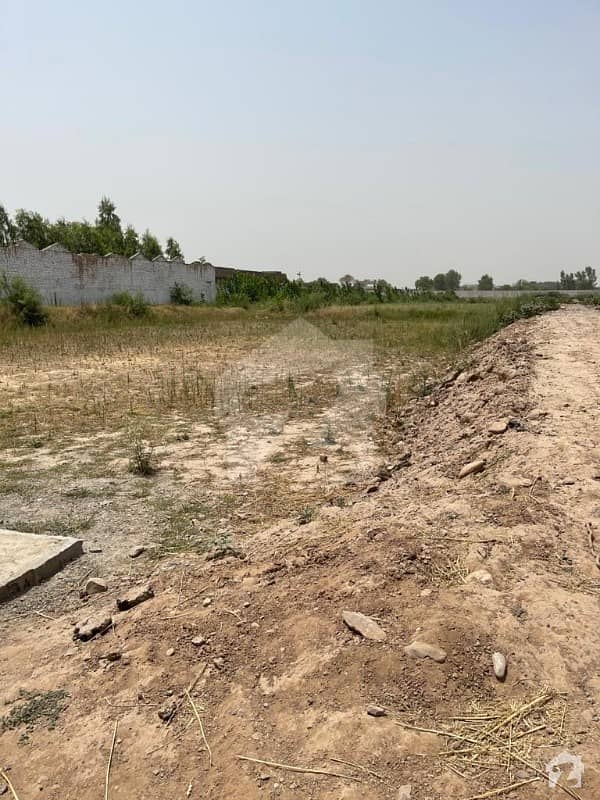 This Is Your Chance To Buy Commercial Plot In Peshawar