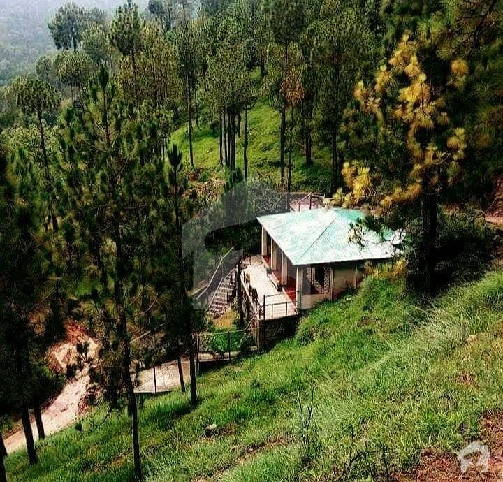 5 Marla Newly Build In Bhurban Murree Hill Views