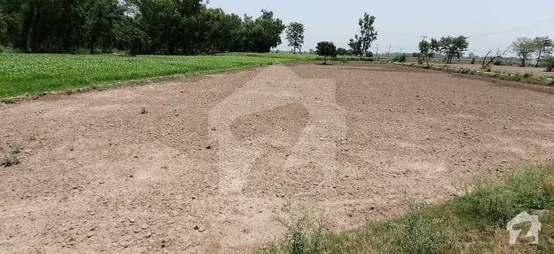 Looking For A Agricultural Land In Bajwat Sialkot