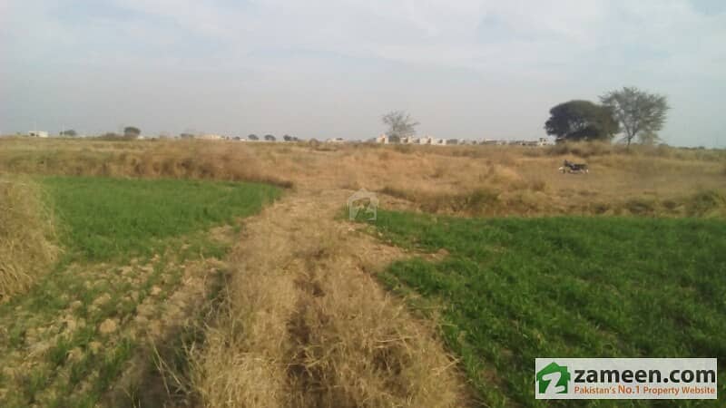 55 Kanal Land For Sale