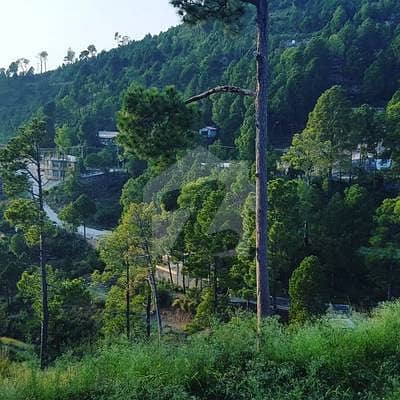 4 Kanal Plot Available In Pir Sohawa