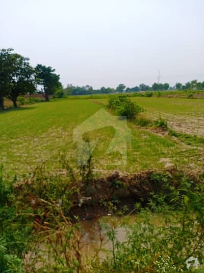 Ideally Located Agricultural Land Of 261000  Square Feet Is Available For Sale In Kasur
