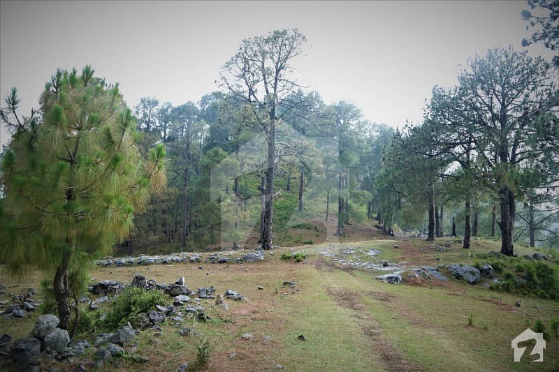 1 Kanal Residential Plot Available In Hill Station