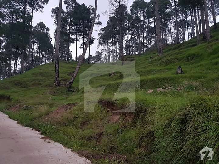 Farm House Land In Pakistan's Biggest & Iconic Project Near Monal Restaurant