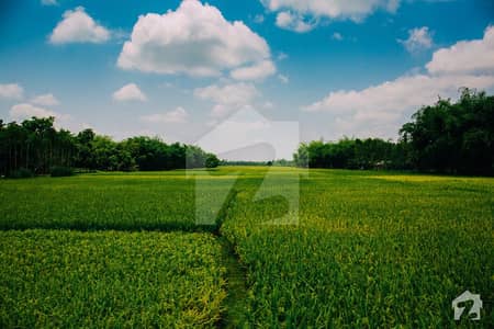 *20 Acres Agriculture Land For Sale* Near Pindi Bhattian - Faisalabad Motorway, M-4