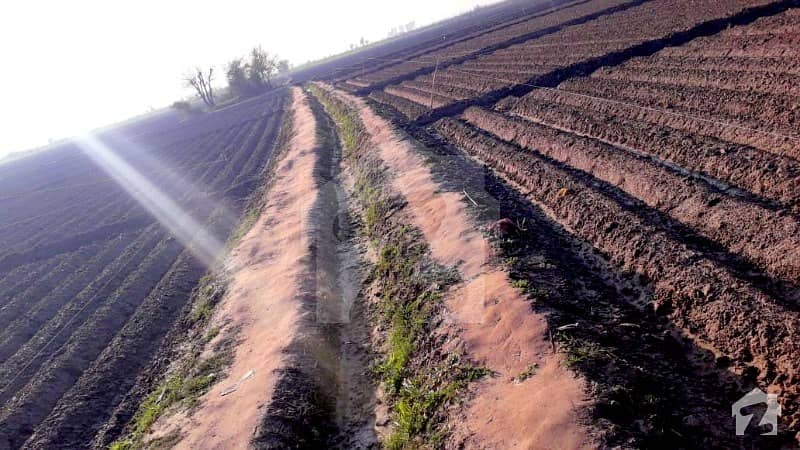 *200 Acres Agriculture Land For Sale* On #main_gujrat_road, #sialkot