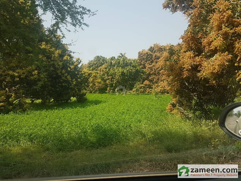 A Fertile Agricultural Land For Sale At Moza Khas Tarpai Adjacent