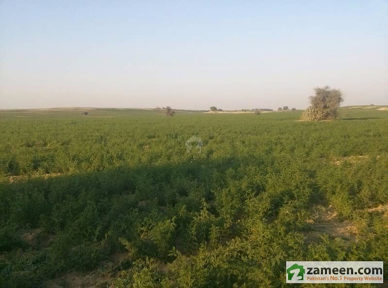 A Piece of Agricultural Land for sale at Karluwala Multan Mankera, Bhakkar ID2385416