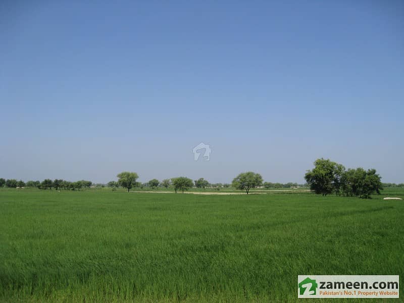 60 Acre Agriculture Land Situated at Main Ali Pur Raod Rohilan Walii