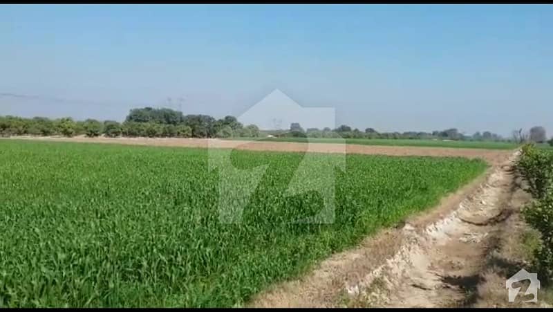 Affordable Agriculture Land (Nehri Zameen)
