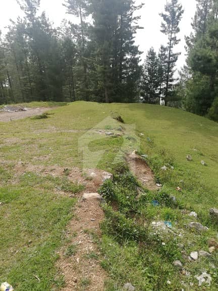 10 Marla Plot For Sale 10 Marla Plot For Sale