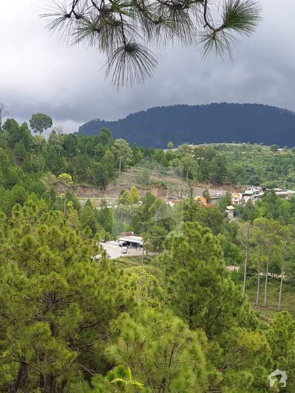 Plot At Prime Location 5500 Plus Altitude With Installment Plan Plot At Prime Location 5500 Plus Altitude With Installment Plan