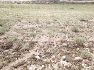 1350 Square Feet Residential Plot In Stunning Sindh University Employees Cooperative Housing Society Is Available For Sale