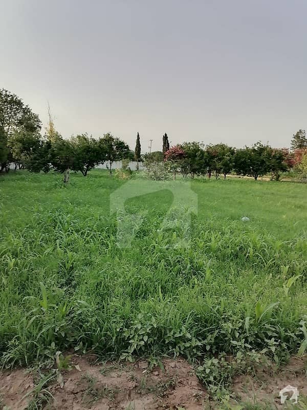 Residential Plot Is Available In Chak Shahzad