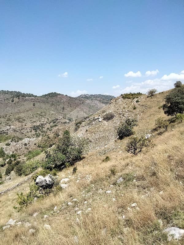 300 Kanal Agriculture Land Available For Sale Ideal Location Only 6 To 7 Km Away From Main Margala Road Easy Access To Land Mostly Road Is Congreted Best Option For Investment Interested Persons Can Contact On Given Numbers And Can Whatsapp On Given Numbe