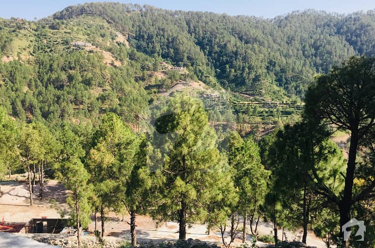 خانپور ہری پور میں 2 کنال رہائشی پلاٹ 70 لاکھ میں برائے فروخت۔