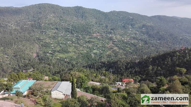 Residential Plot Available In Murree