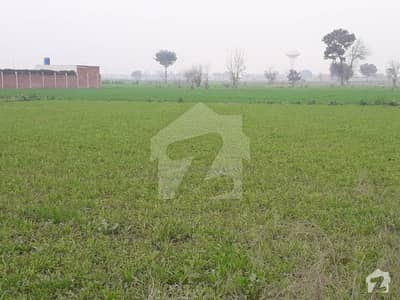 بیکن ہاؤس سوسائٹی لاہور میں 50 کنال زرعی زمین 30 کروڑ میں برائے فروخت۔