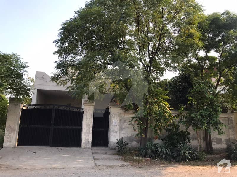 1 Kanal Grey Structure Single Floor Used House For Sale