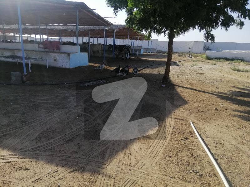 سکیم 33 کراچی میں 8 کنال زرعی زمین 28 لاکھ میں برائے فروخت۔